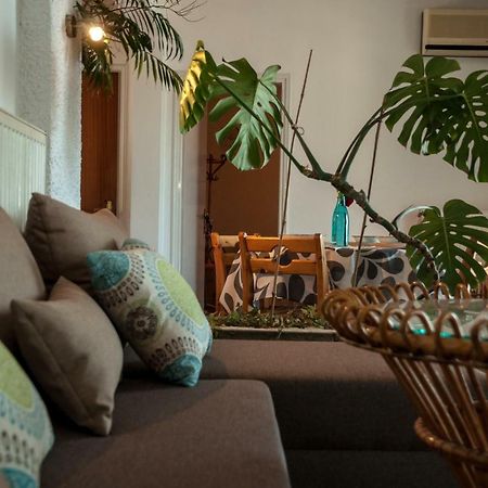 Paradise View Apartment PalaiónTsiflíkion エクステリア 写真