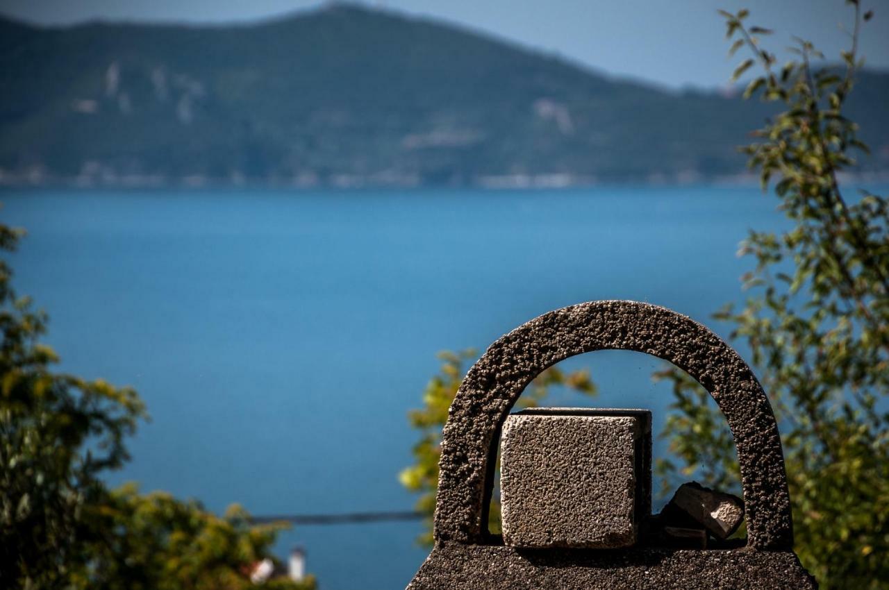 Paradise View Apartment PalaiónTsiflíkion エクステリア 写真