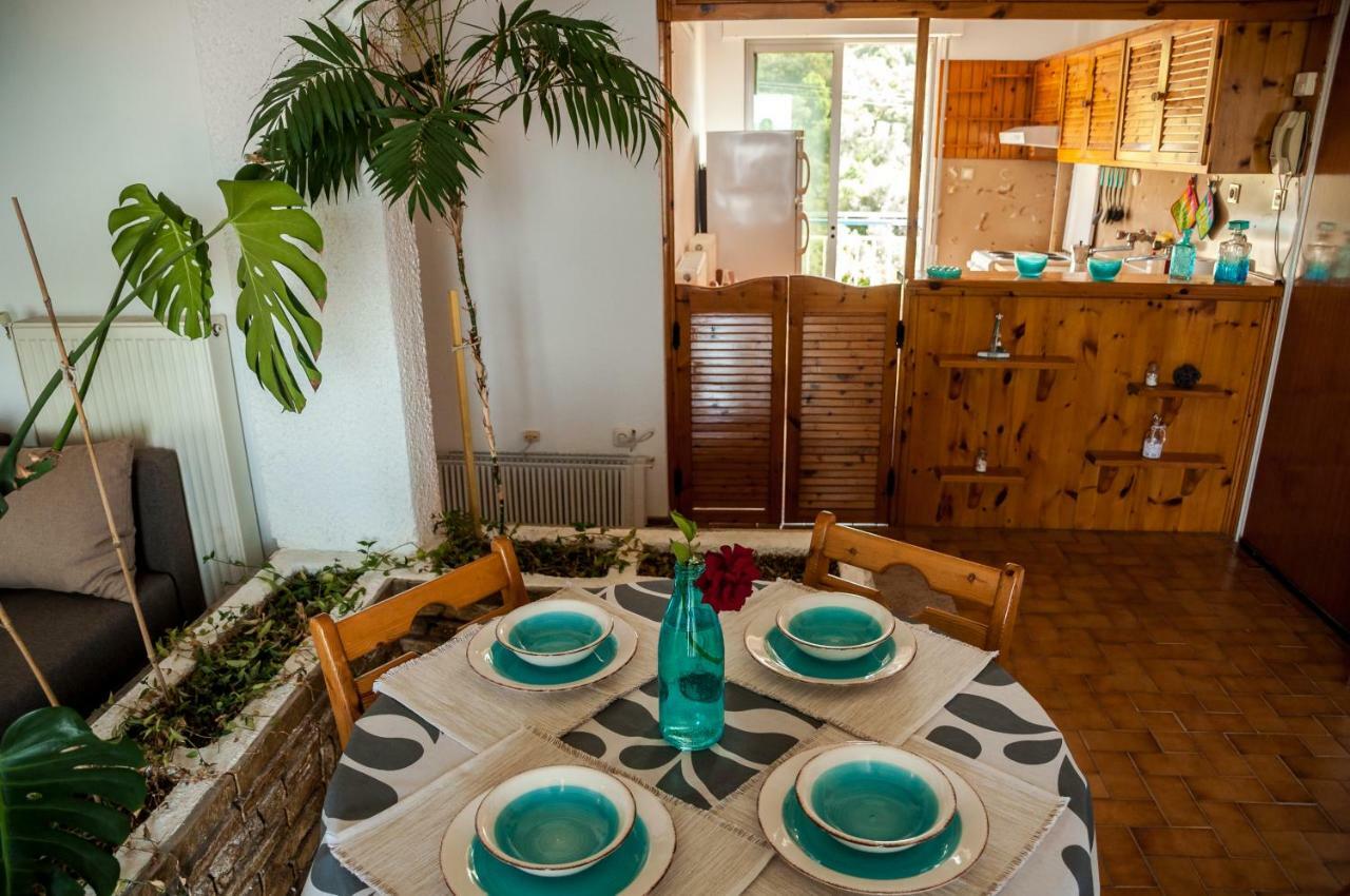 Paradise View Apartment PalaiónTsiflíkion エクステリア 写真