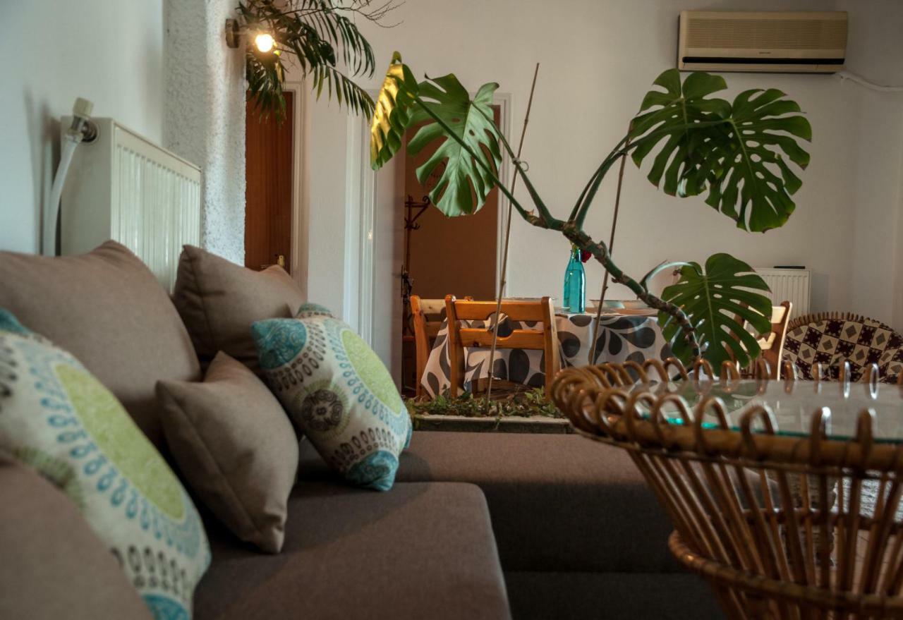 Paradise View Apartment PalaiónTsiflíkion エクステリア 写真