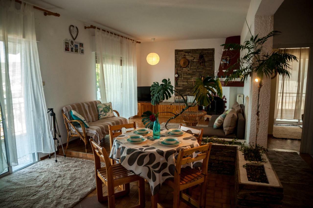 Paradise View Apartment PalaiónTsiflíkion エクステリア 写真