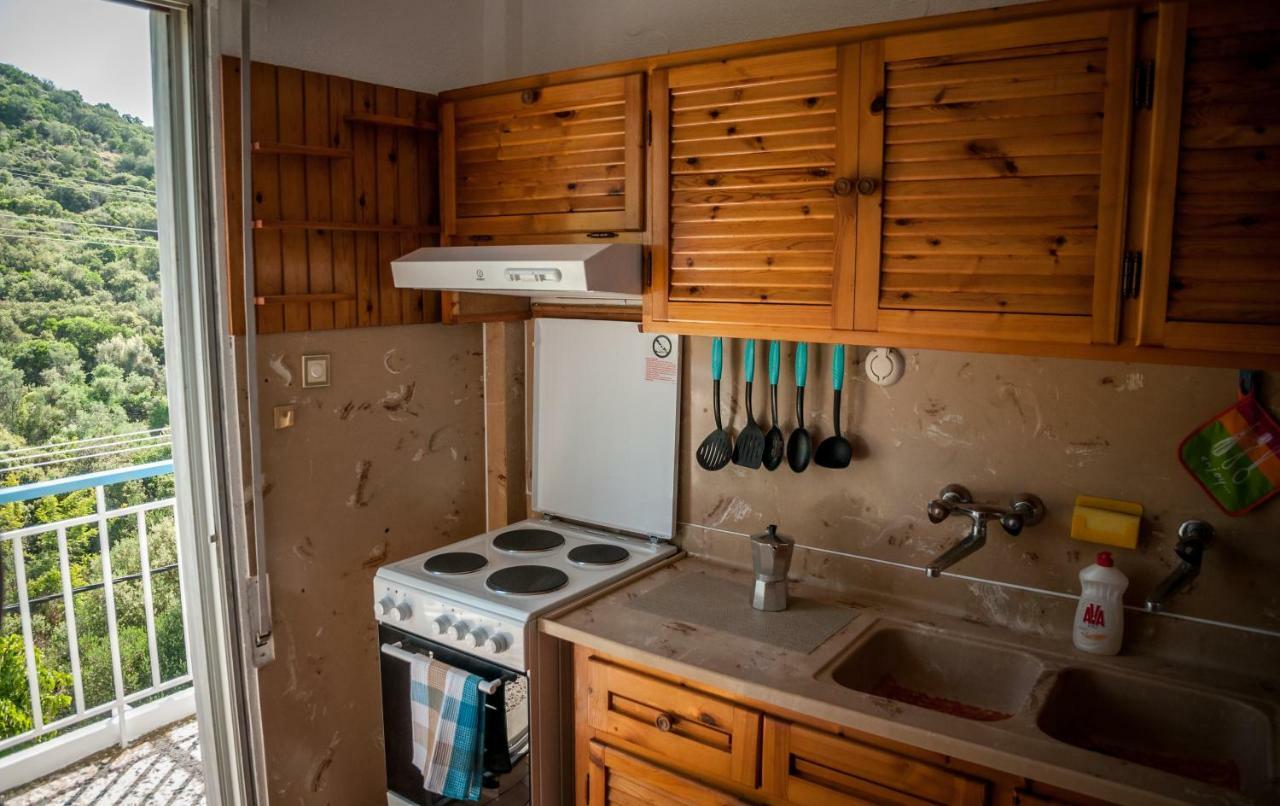 Paradise View Apartment PalaiónTsiflíkion エクステリア 写真