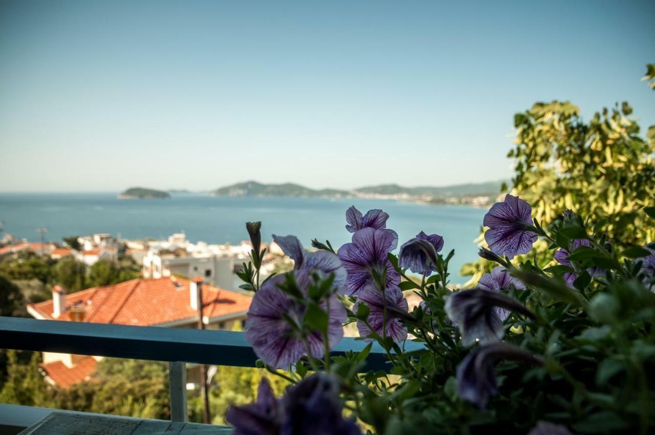 Paradise View Apartment PalaiónTsiflíkion エクステリア 写真